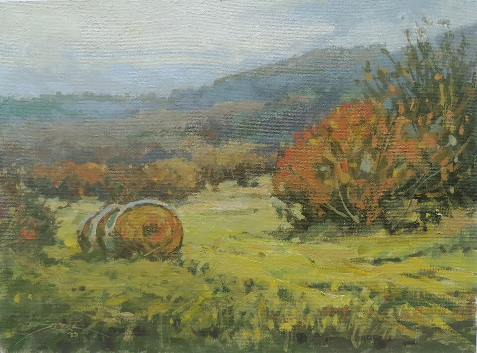 Wiesen bei Minden , Öl  Leinwand , Ralf Bechtel 