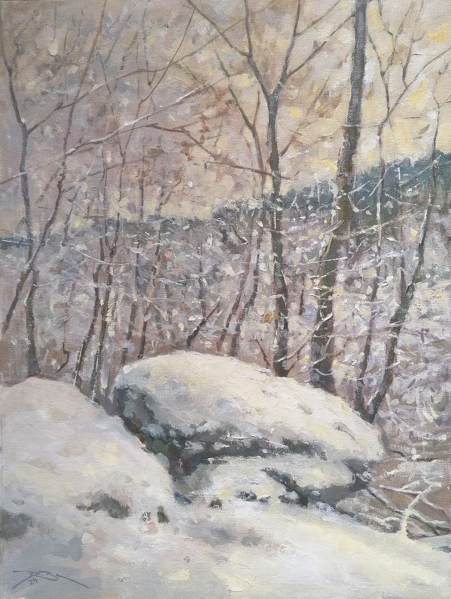 Felsen im Schnee , Ralf Bechtel 