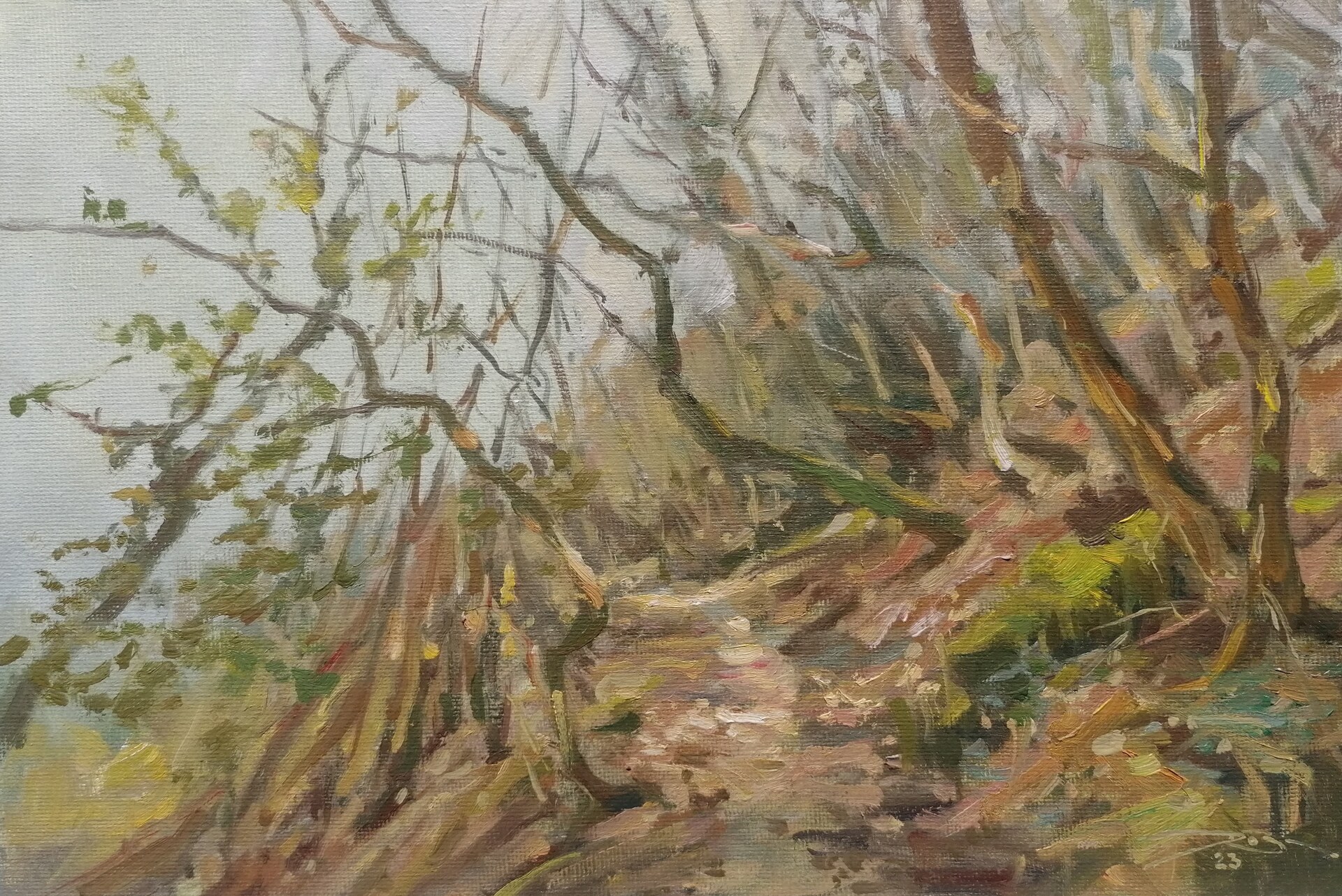 Wanderweg bei Minden , Ralf Bechtel 