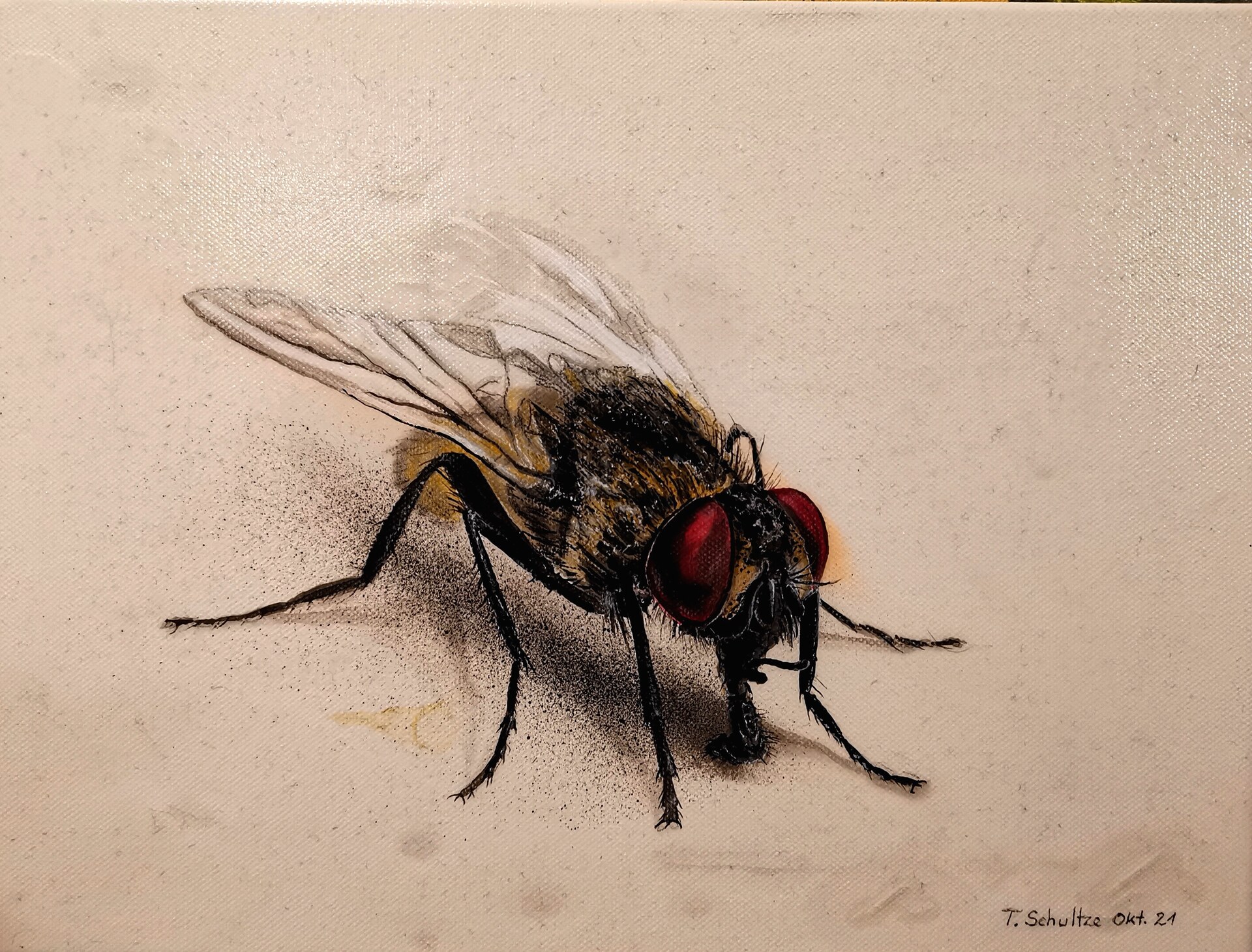 Fliege, Thomas Schultze
