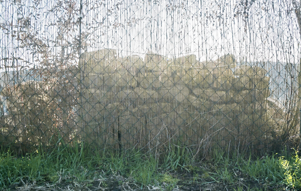 o.T., Ulrike Bernhardt