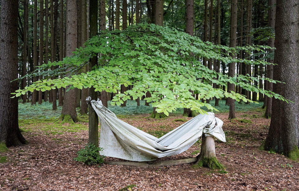 In the Woods, Ulrike Bernhardt