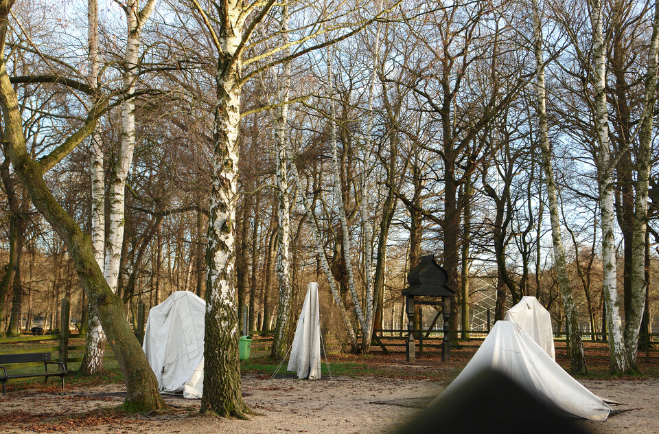 o.T., Ulrike Bernhardt