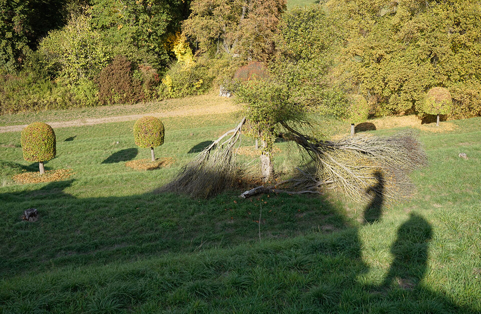  Im Zweigwerk, Ulrike Bernhardt
