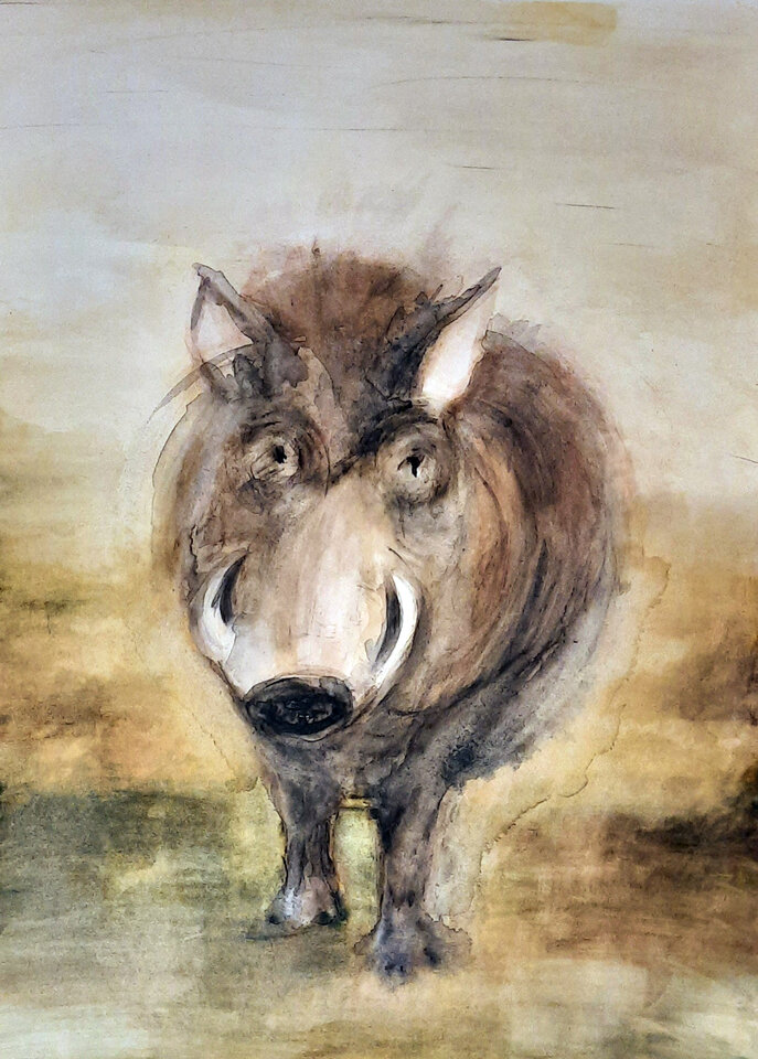 Das Warzenschwein, Acryl Papier, Sylvia Gnatz