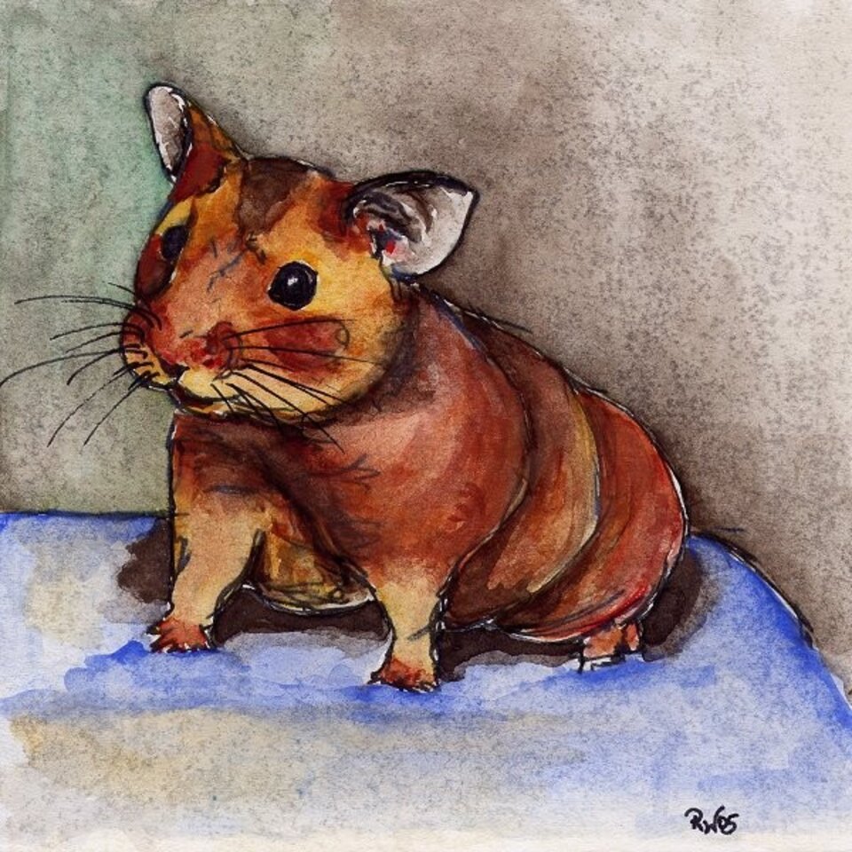 Hamster, Aquarell auf Karton, Rachel Weissenberger
