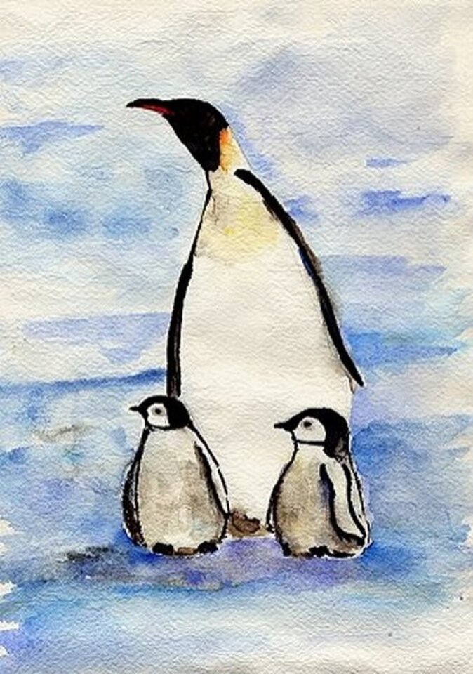Pinguine, Aquarell auf Papier, Rachel Weissenberger