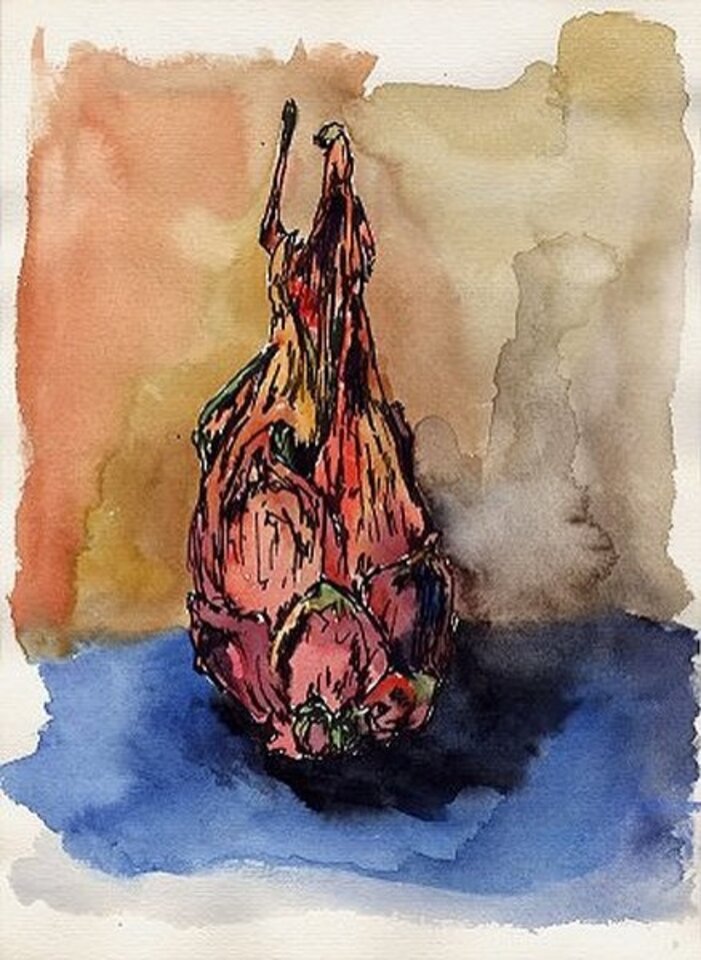Pitahaya, Aquarell auf Papier, Rachel Weissenberger
