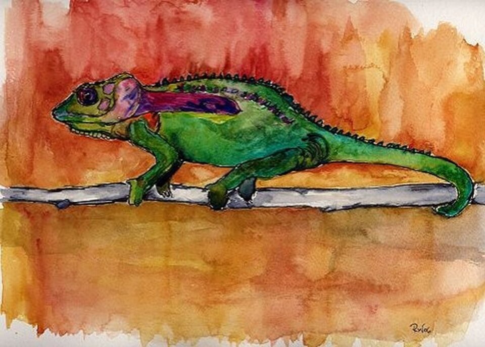 Chamäleon, Aquarell auf Papier, Rachel Weissenberger