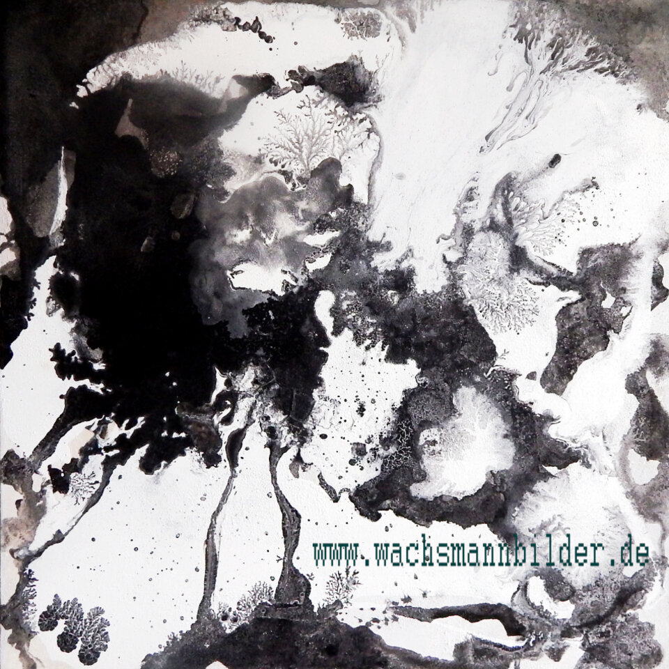schwarz weiß Bild Serie Fusionen, Acryl auf Leinwand, Conny Wachsmann