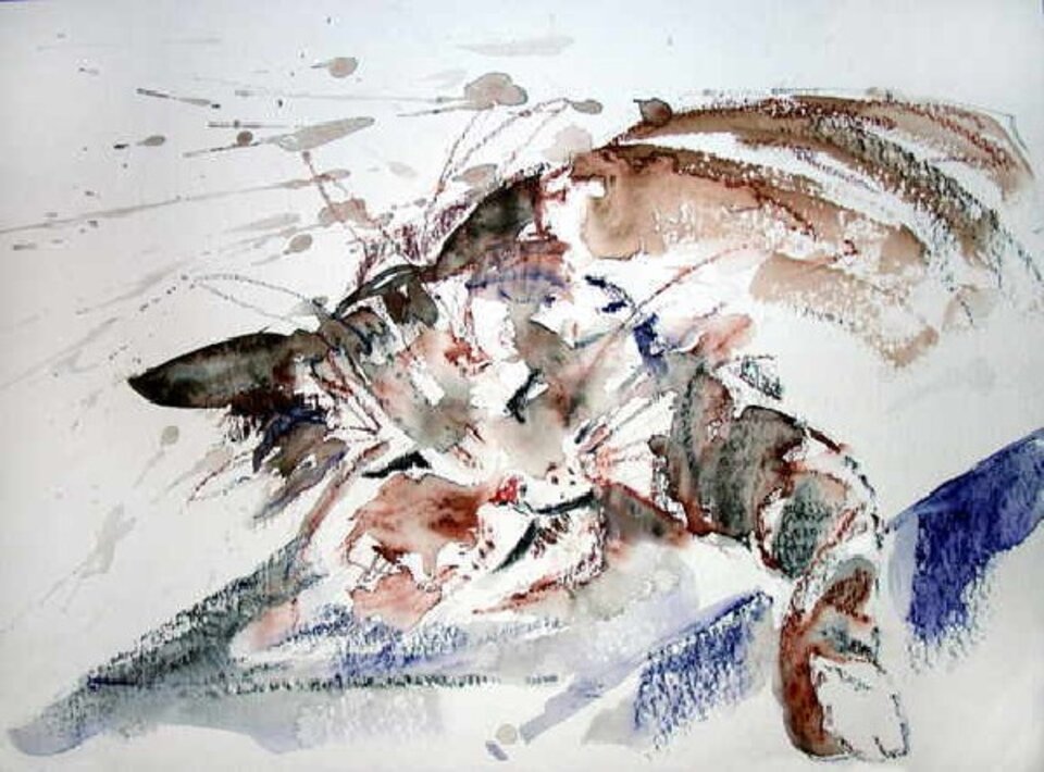 Meine Katze, Aquarell auf Papier, Oskar Günther