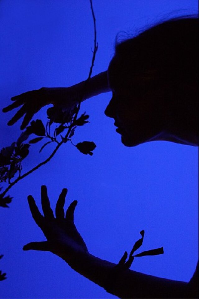Studien in Blau 2, Farbfotografie auf Holz, Gerrit Brodmann