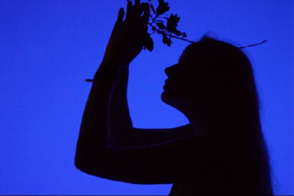 Studien in Blau 3, Farbfotografie auf Holz, Gerrit Brodmann
