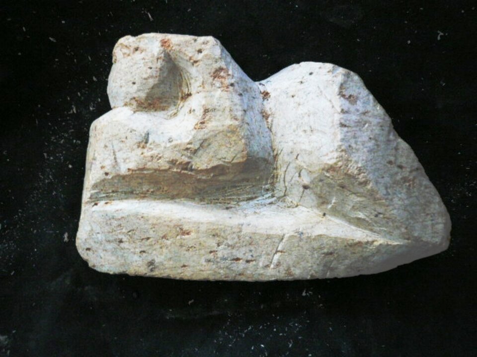 Kleine Schlummernde, Reiner Poser
