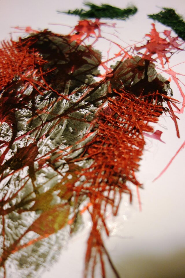 Ratsherren im Gespräch, Reiner Poser