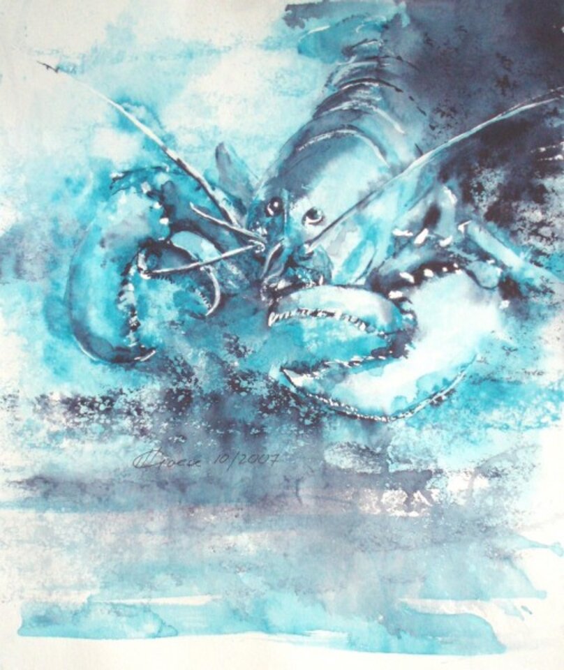 Lasst den Hummer leben, Aquarell auf Papier, Carmen Kroese