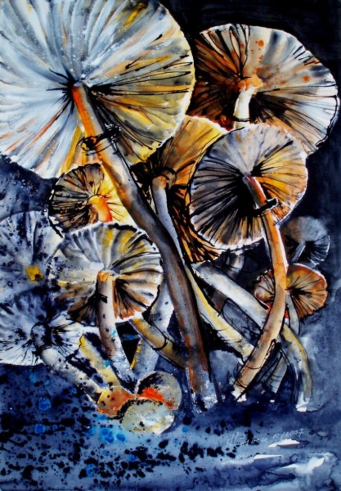 Pilze, Aquarell auf Papier, Carmen Kroese