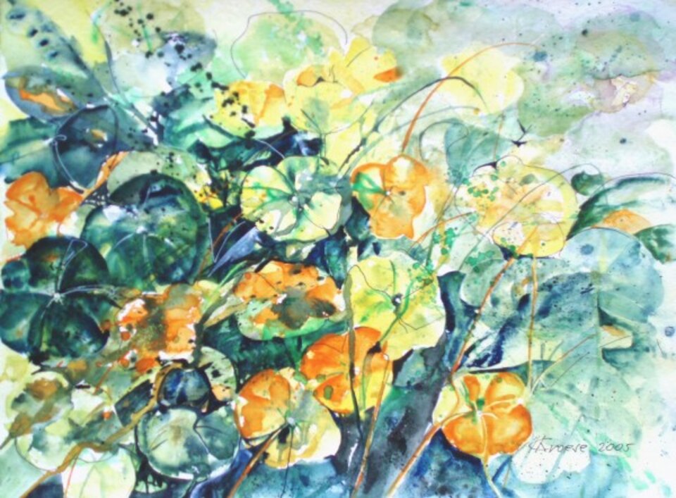 Kapuziner, Aquarell auf Papier, Carmen Kroese