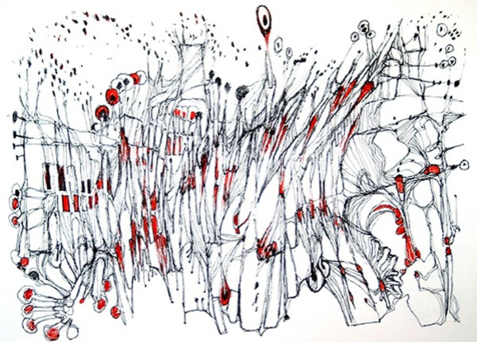 Competition, Michael Schmidt