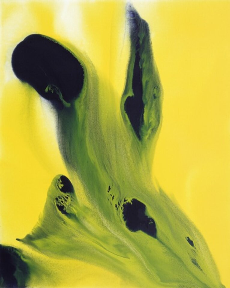 H 068, Acryl auf Leinwand, Renate B. Hofer