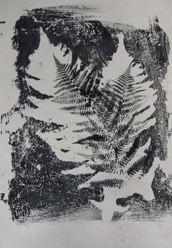 Farne wedeln, Monotypie Japanpapier, Sigrid Braun-Umbach