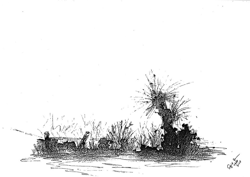 Weiden, Sigrid Braun-Umbach