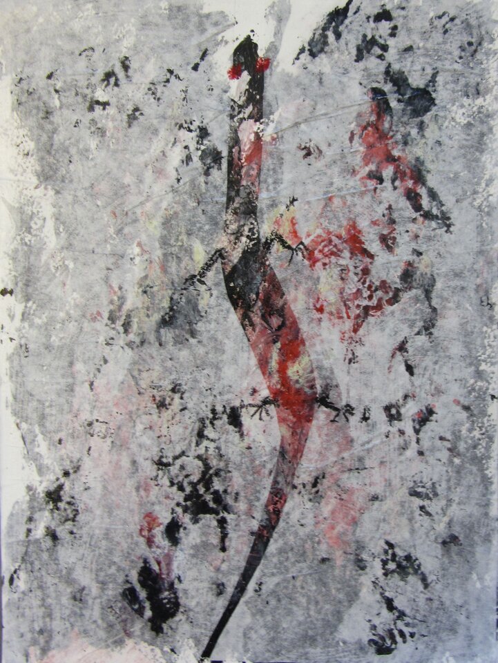 Salamander, Sigrid Braun-Umbach