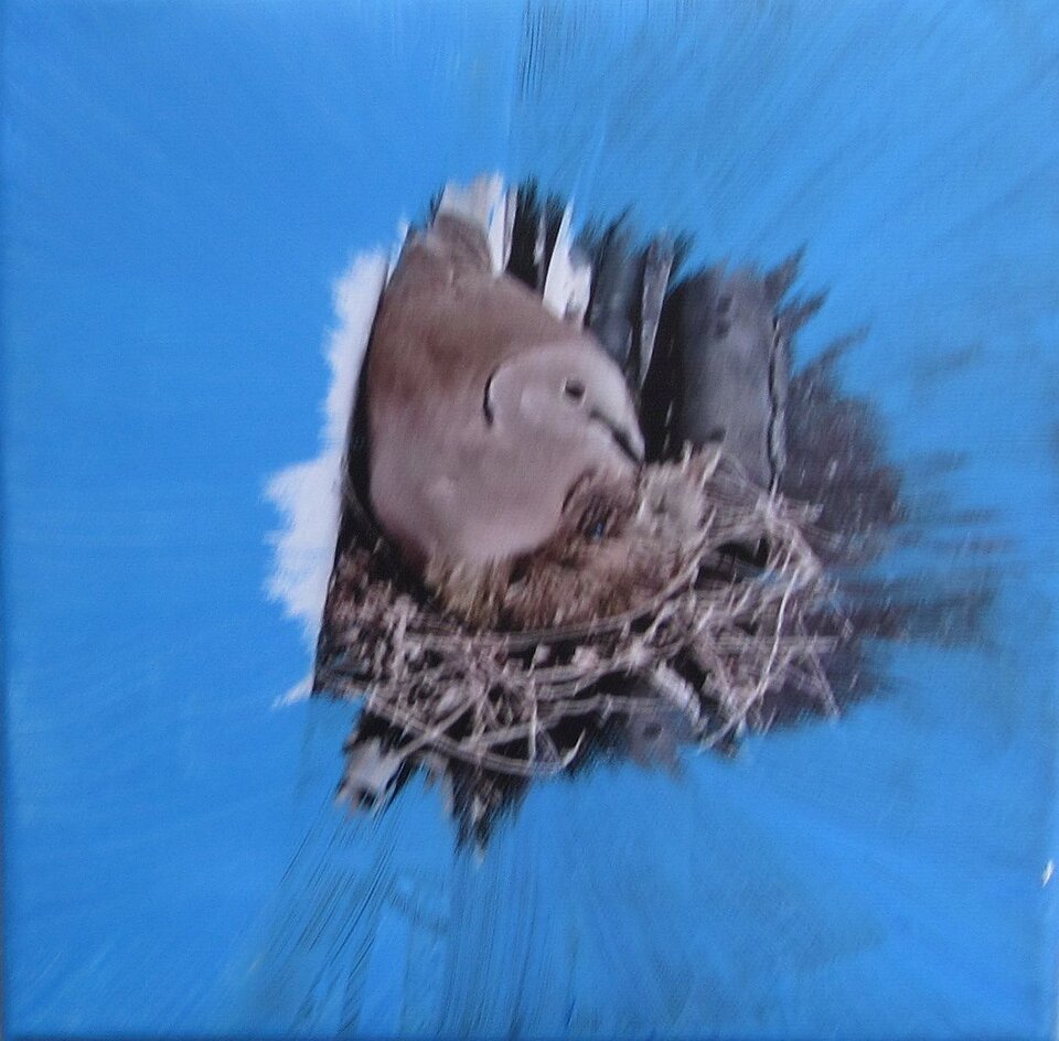 Gut behütet, Mischtechnik auf Leinwand, Sigrid Braun-Umbach