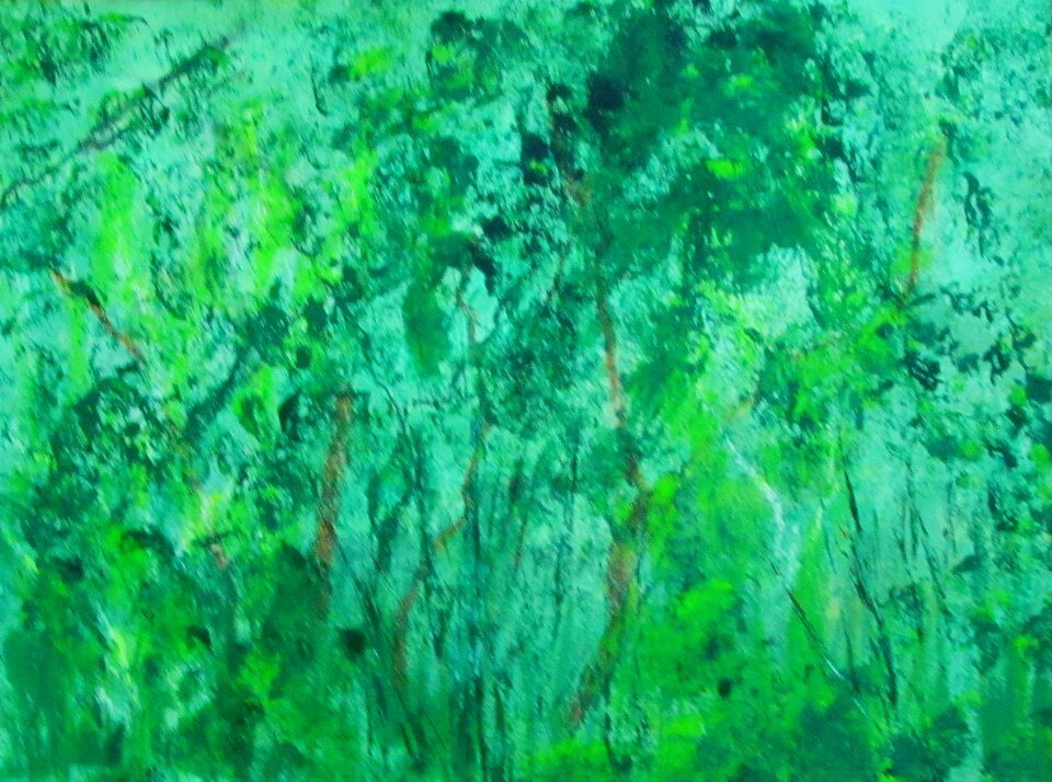 Darßwald 1, Mischtechnik auf Papier, Sigrid Braun-Umbach