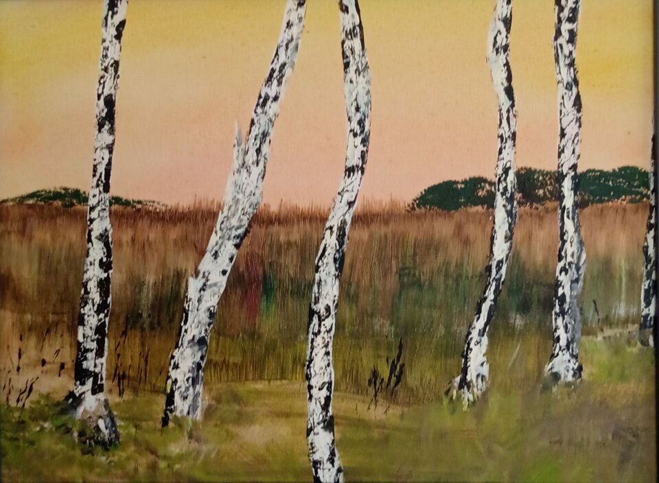 Heidebirken, Acryl  Leinwandkarton, Sigrid Braun-Umbach