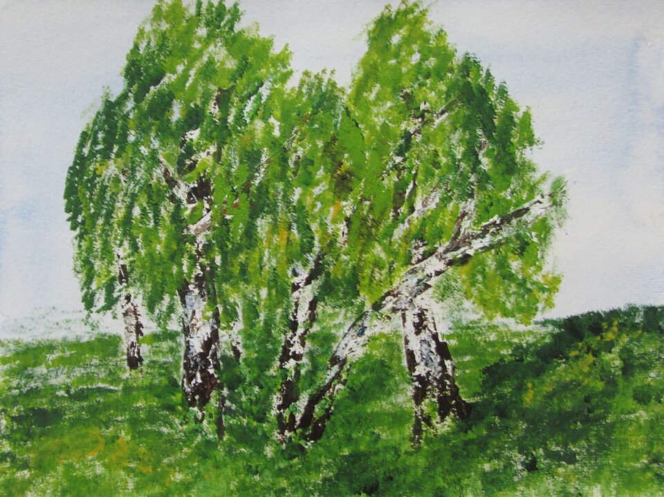 Birken am Wegrand, Acryl auf Papier, Sigrid Braun-Umbach