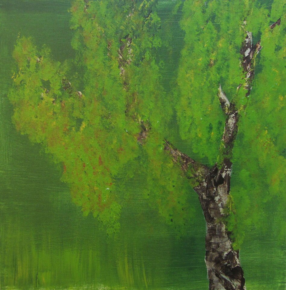 Acrylbirke, Acryl auf Leinwand, Sigrid Braun-Umbach