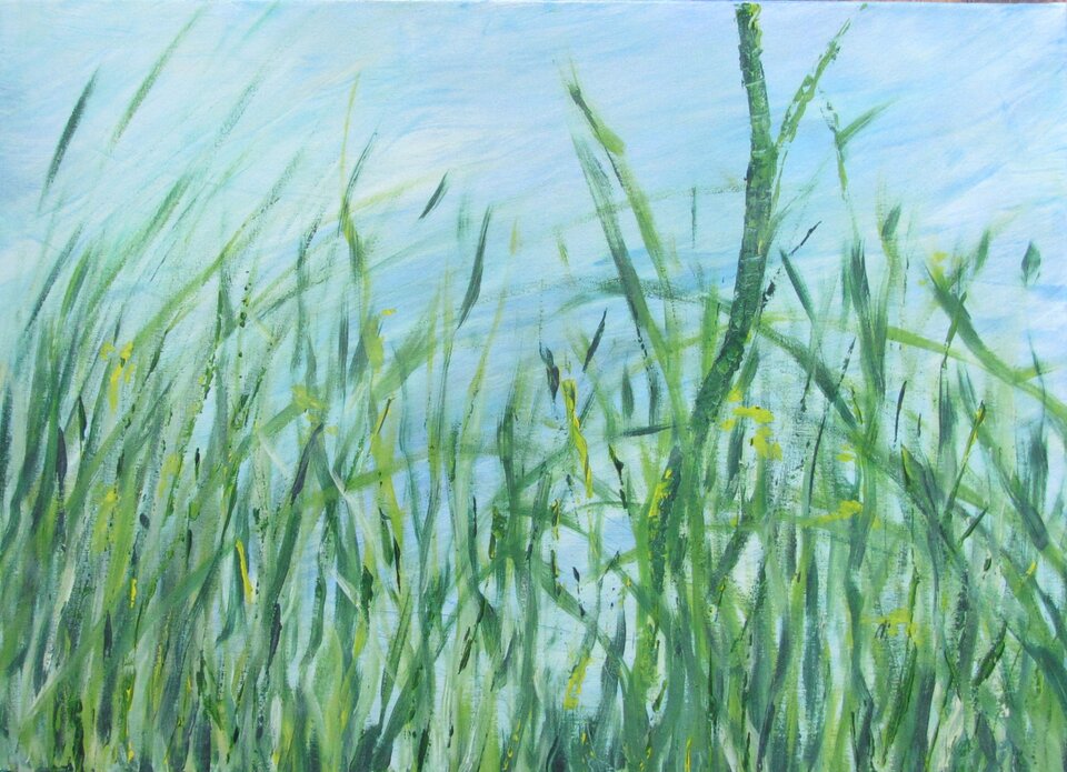 Schilf, Acryl auf Leinwand, Sigrid Braun-Umbach
