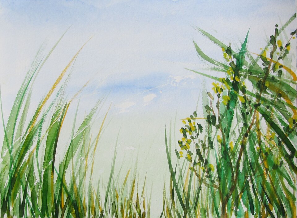 Schil 3, Aquarell auf Papier, Sigrid Braun-Umbach