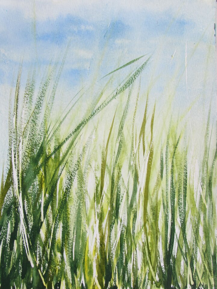 Schilf 4, Sigrid Braun-Umbach