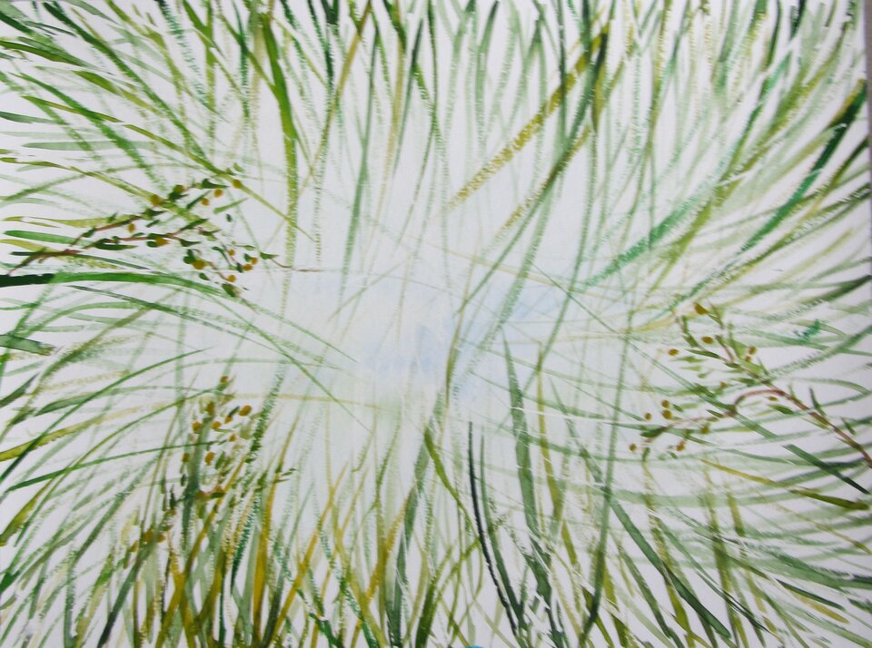 Aus der Sicht des Frosches, Sigrid Braun-Umbach