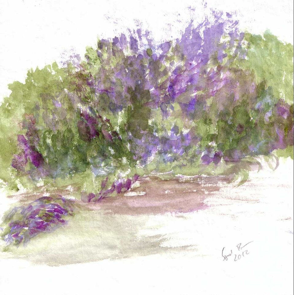 Lavendelbeet, Aquarell auf Papier, Sigrid Braun-Umbach
