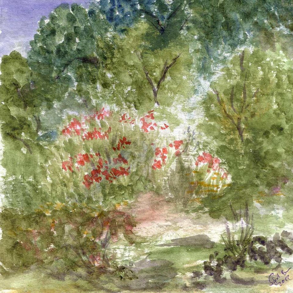 Mohn..., Aquarell auf Papier, Sigrid Braun-Umbach