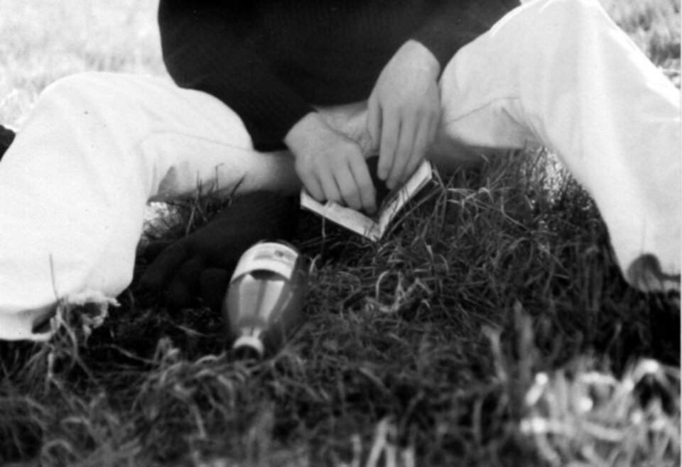 auf der Wiese im Juni, Thomas Riemann