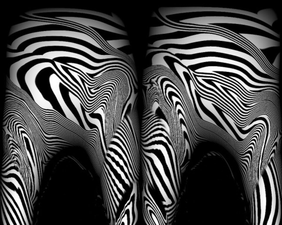 Grafimathematical zebraas, Hendrik Arie Baartman