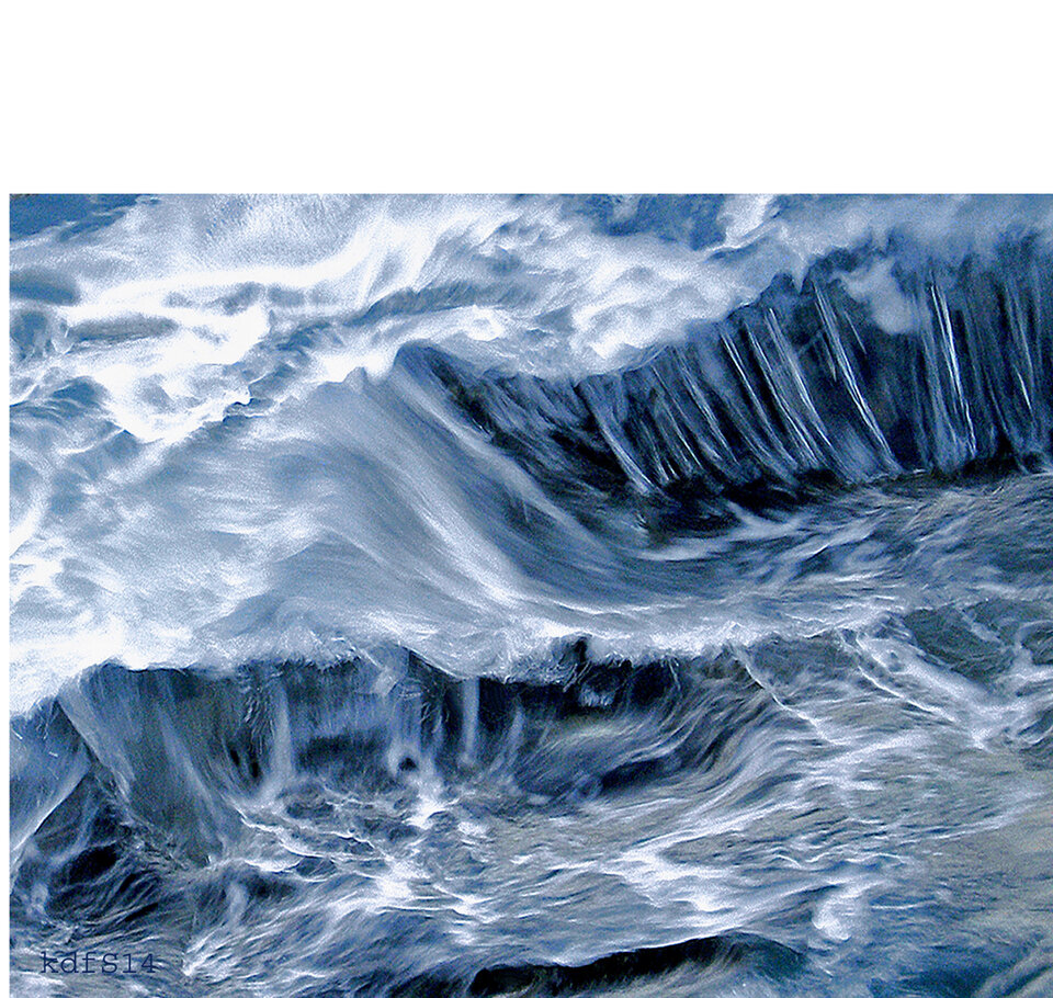 nature vivante 2, Karl Dieter Schaller