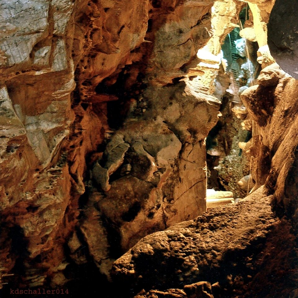 entrailles, Karl Dieter Schaller