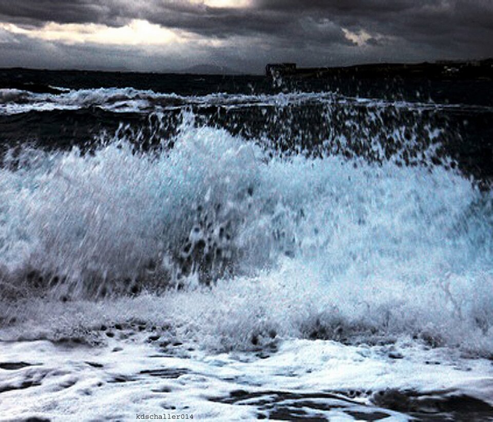 untamed, Farbfotografie , Karl Dieter Schaller