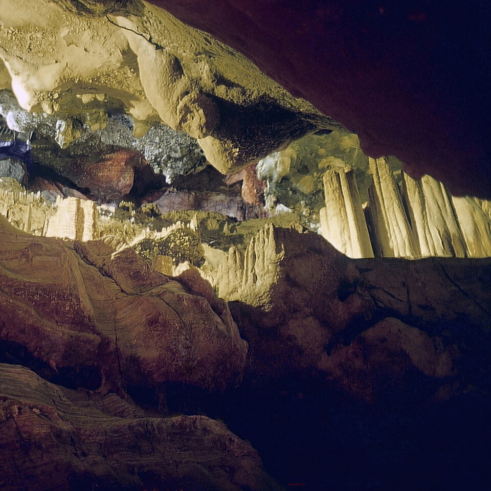 entrailles, Karl Dieter Schaller