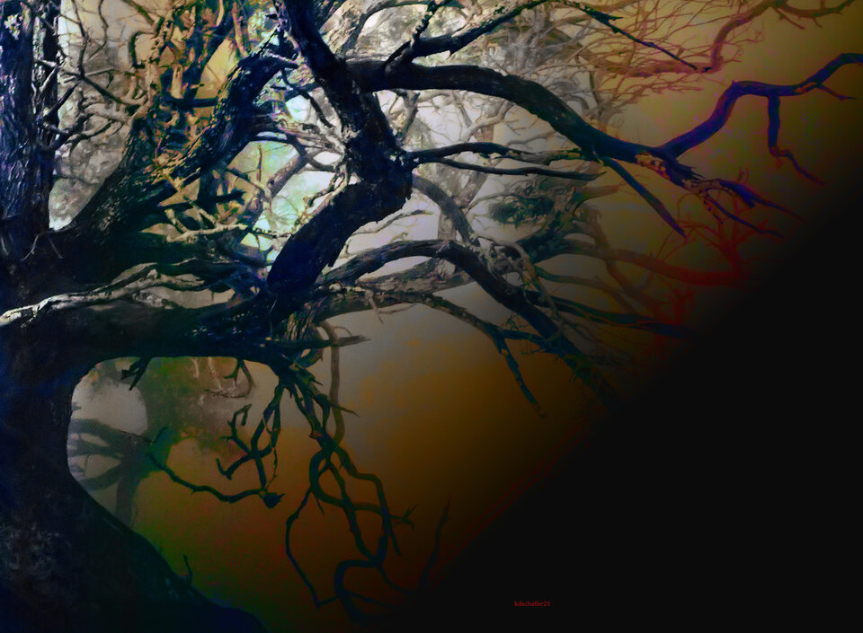 sculpture nature 2, variable canvas, Karl Dieter Schaller