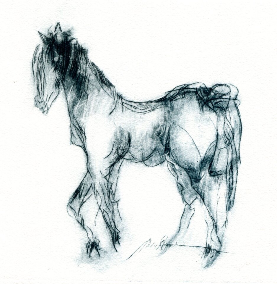 Pferd, Druck auf Papier, Monika Riemenschneider