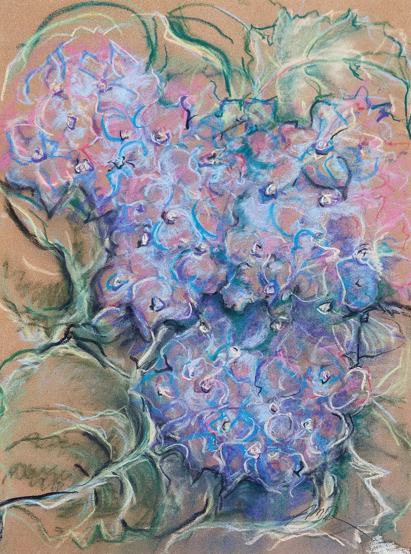 Hortensie, Monika Riemenschneider