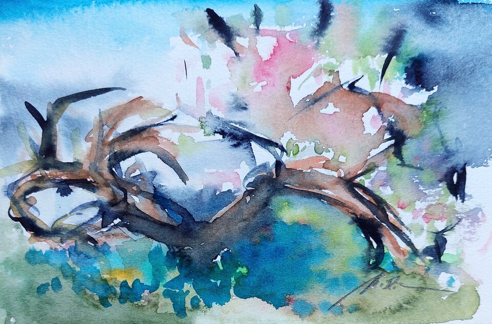 Apfelblüte, Monika Riemenschneider