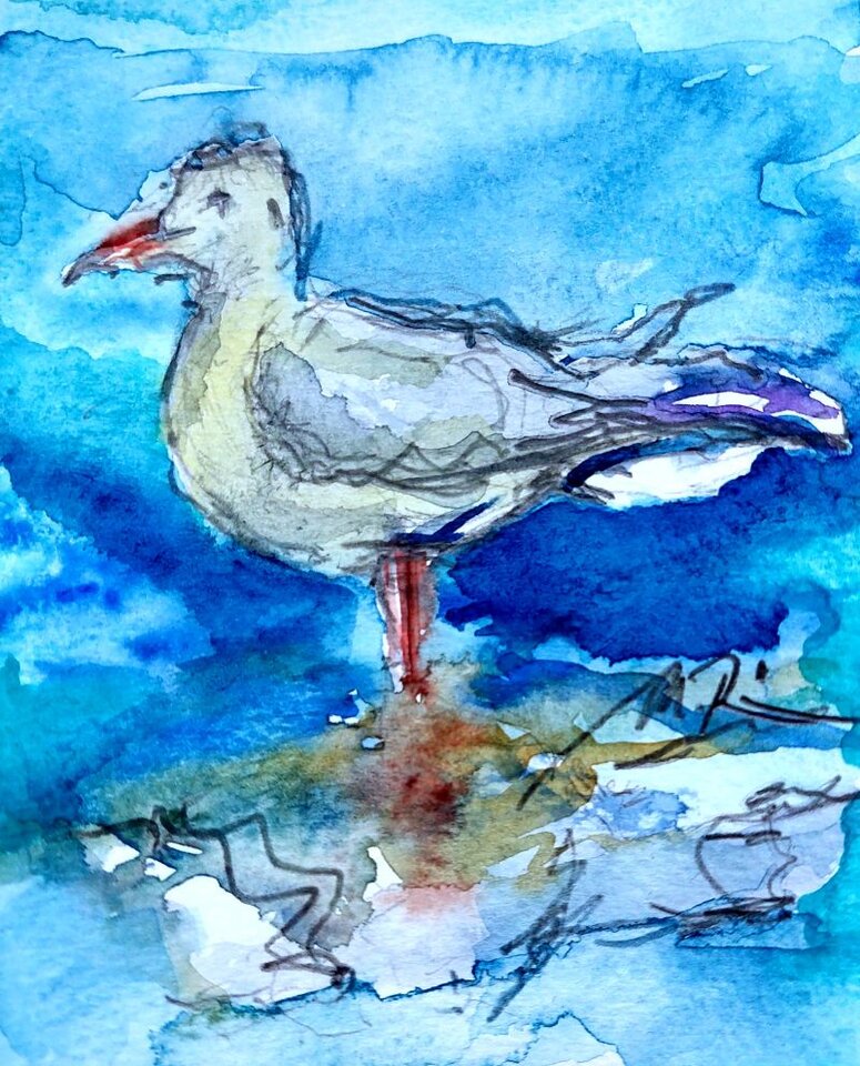 kleine Möwe, Aquarell auf Papier, Monika Riemenschneider