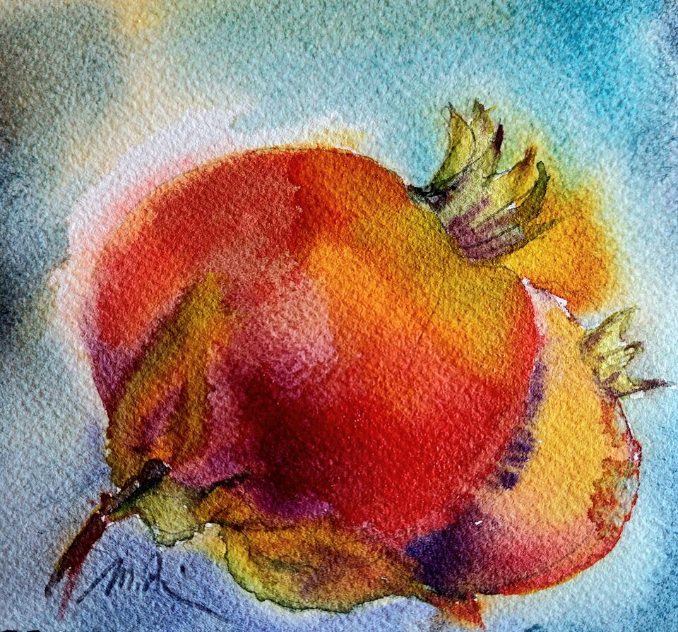 Granatapfel, Aquarell auf Papier, Monika Riemenschneider